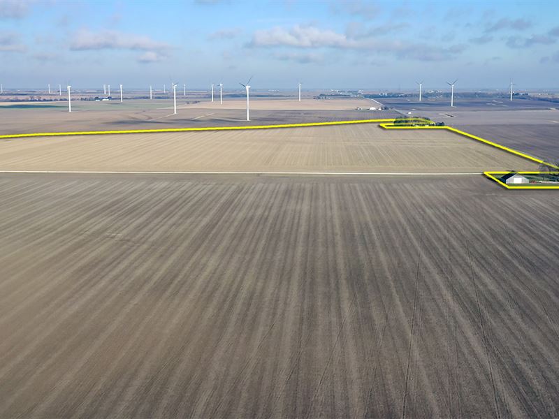 Benton County Land Auction : Fowler : Benton County : Indiana