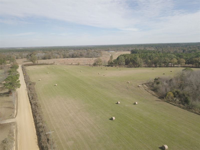 Pasture & Timberland : Norman Park : Colquitt County : Georgia
