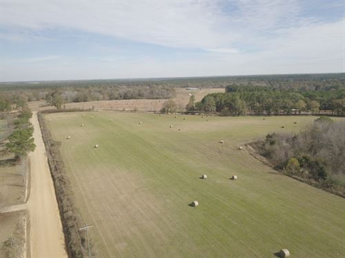 Pasture & Timberland : Norman Park : Colquitt County : Georgia