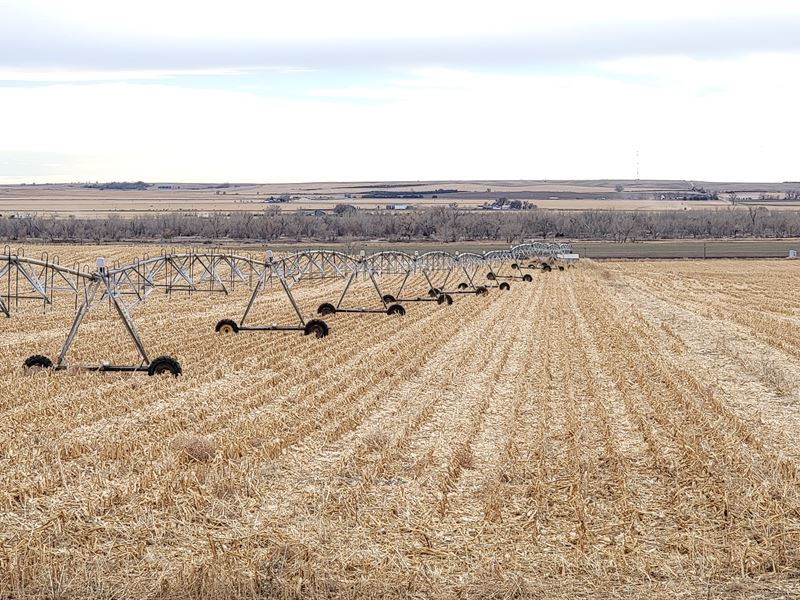 West Brule Irrigated Auction : Brule : Keith County : Nebraska
