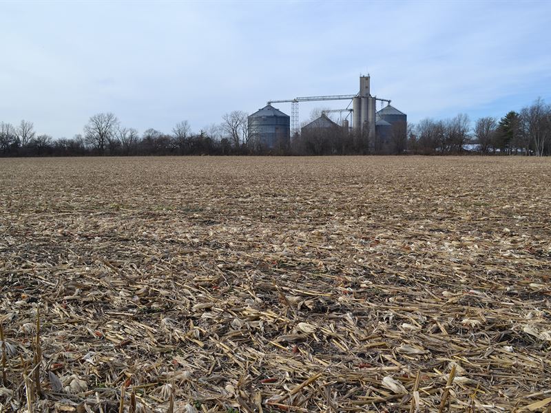 Land Auction, Offered In 6 Tracts : Francesville : Pulaski County : Indiana