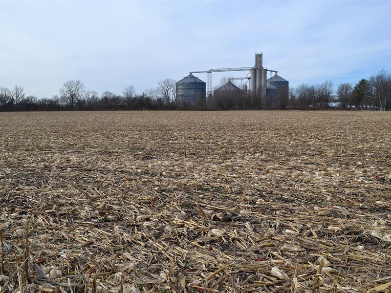 Land Auction, Offered in 6 Tracts : Francesville : Pulaski County : Indiana