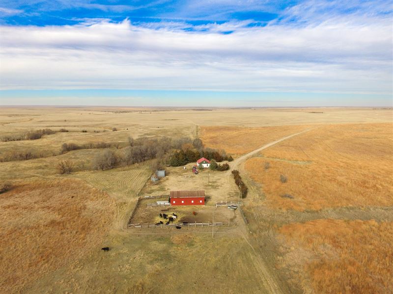 Cattle & Crp Farm, Hodgeman County : Jetmore : Hodgeman County : Kansas
