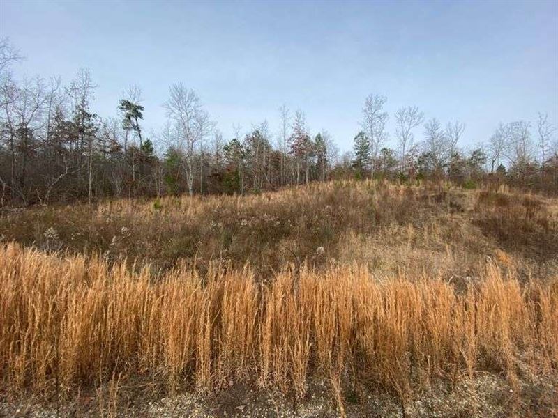 32 Partially Developed Lots & Land : Shannon Hills : Saline County : Arkansas