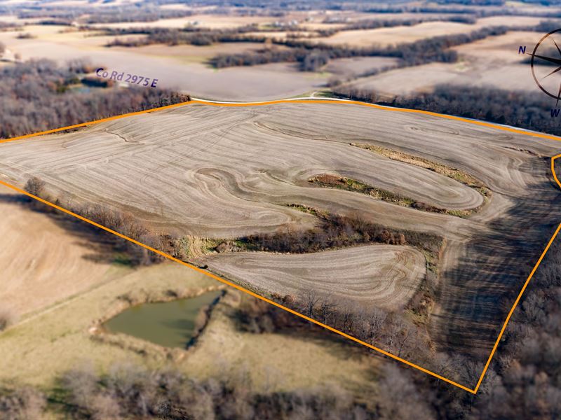 66 Acres in Adams County, IL : Beverly : Adams County : Illinois