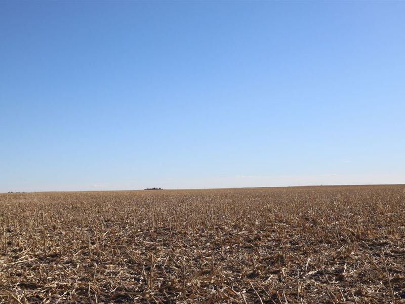 Glauber Trust Dryland Auction : Grant : Perkins County : Nebraska