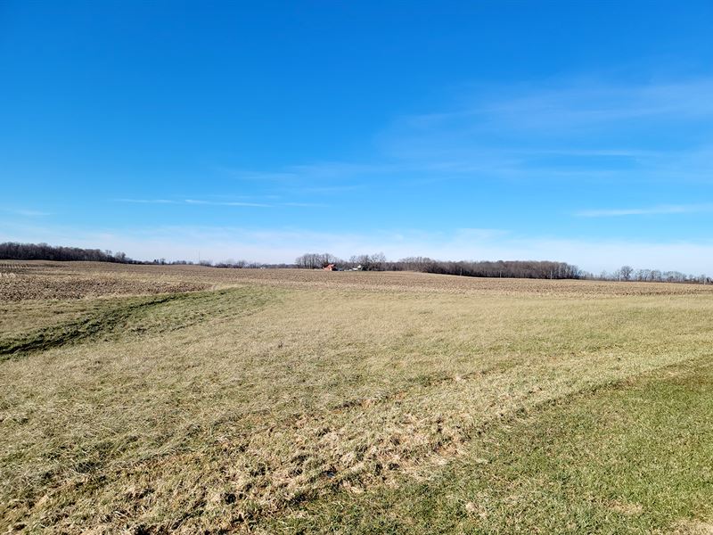 Real Estate Auction : Muncie : Delaware County : Indiana