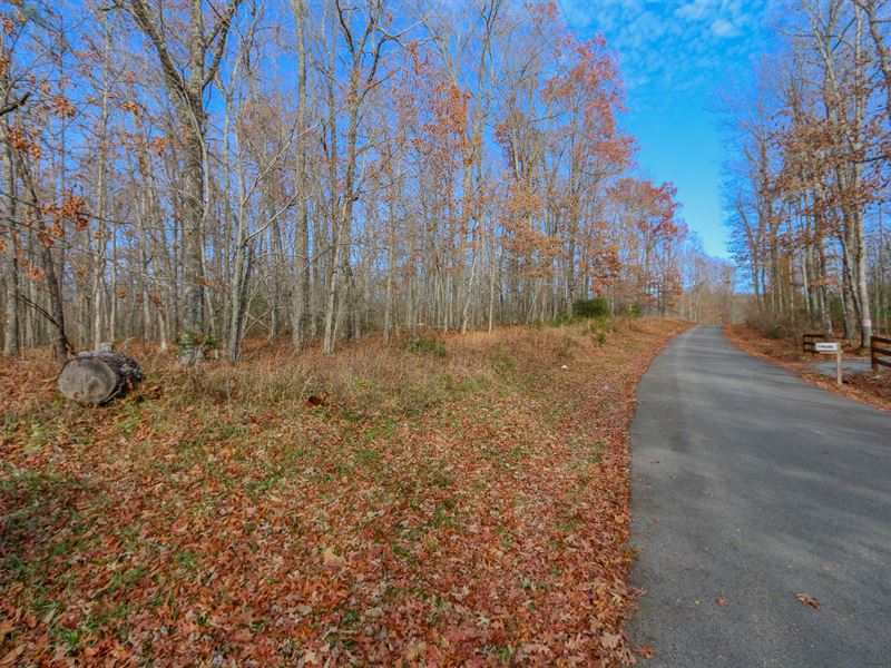 Wooded Tract, Buck Creek Estates : Sparta : Putnam County : Tennessee