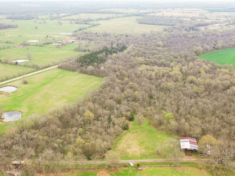 27 Ac for Auction in Bogata, TX : Bogata : Red River County : Texas