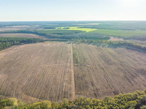 203 +/- Ac, Irrigated Row Crop Farm : Dawson : Terrell County : Georgia