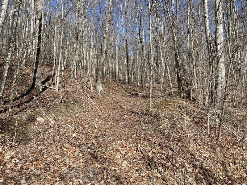 Amazing 73 Ac, Tazewell County, VA : Bandy : Tazewell County : Virginia