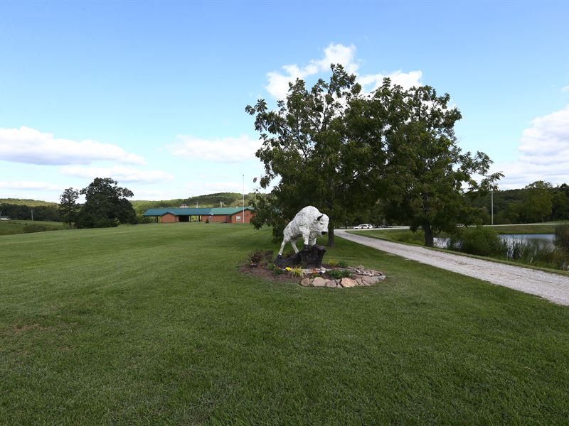 Premier Land Auction : Falcon : Laclede County : Missouri