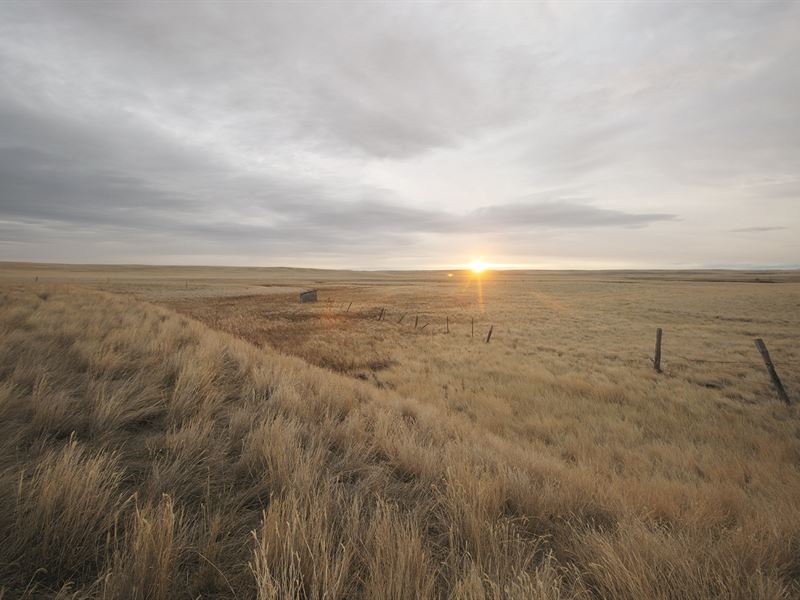 Sealed Bid Auction, 1,120+/- Acres : Fort Benton : Chouteau County : Montana