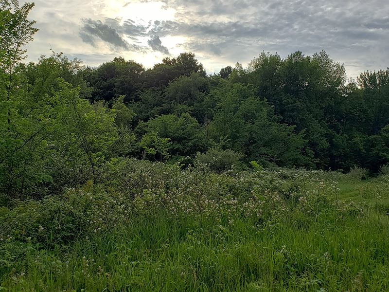 Online Only Real Estate Auction : Claypool : Kosciusko County : Indiana