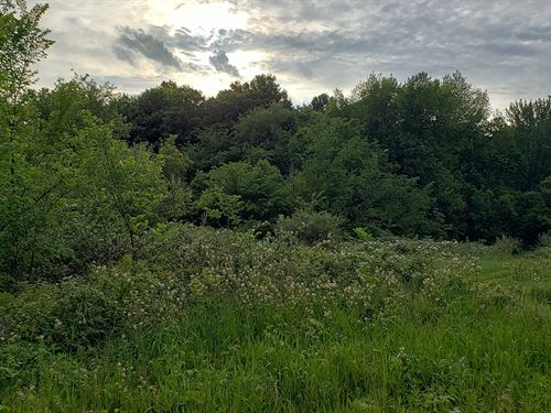 Online Only Real Estate Auction : Claypool : Kosciusko County : Indiana