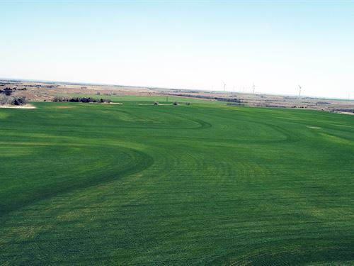 Productive Farmland : Putnam : Dewey County : Oklahoma