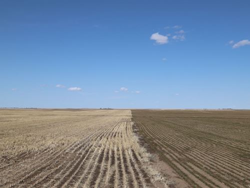 NE Cheyenne County Dryland Auction : Gurley : Cheyenne County : Nebraska
