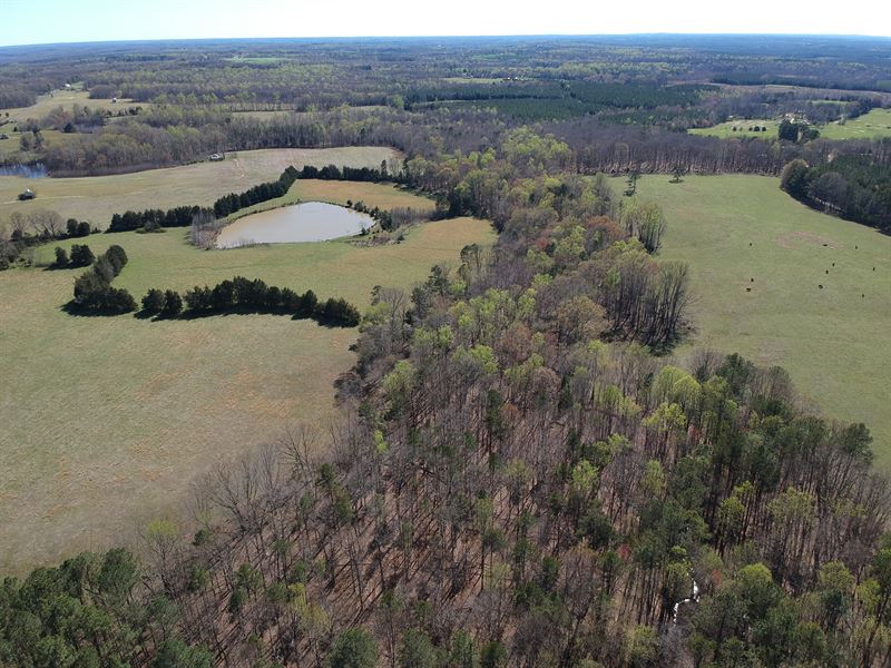 Beautiful 150 Ac Farm with 3 Ponds : Brookneal : Campbell County : Virginia