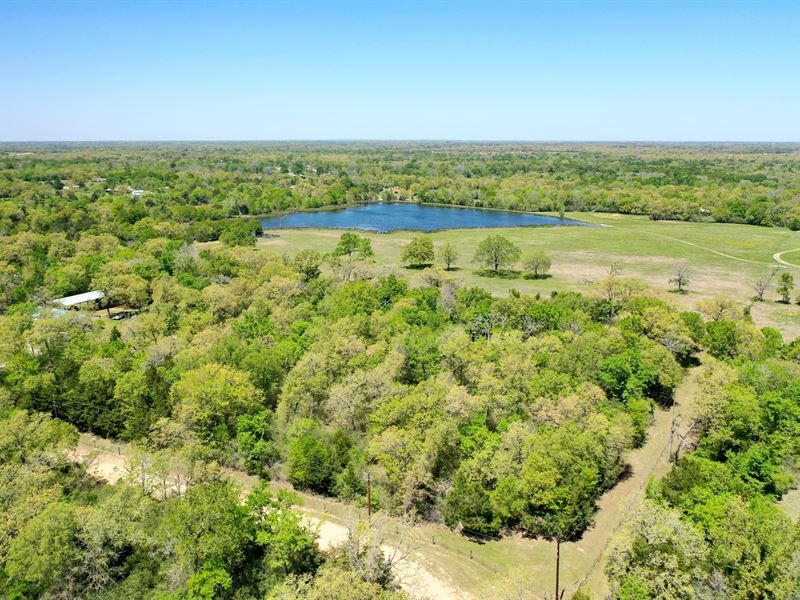 Amazing 6.84 AC in Madison County : North Zulch : Madison County : Texas