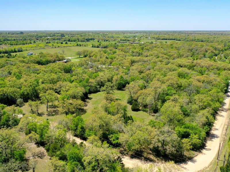Amazing 3.34 ac in Madison County : North Zulch : Madison County : Texas