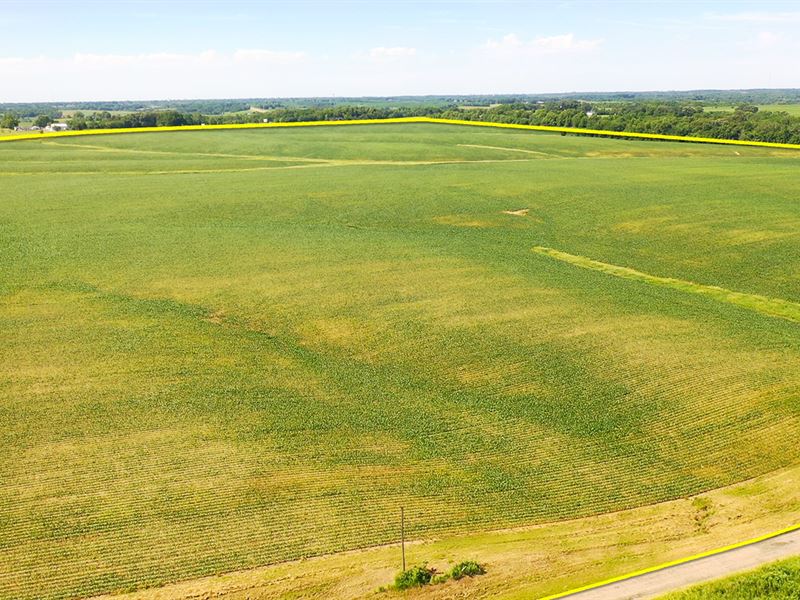 Farm Auction, 211+/- Acres Offered : Kewanee : Henry County : Illinois