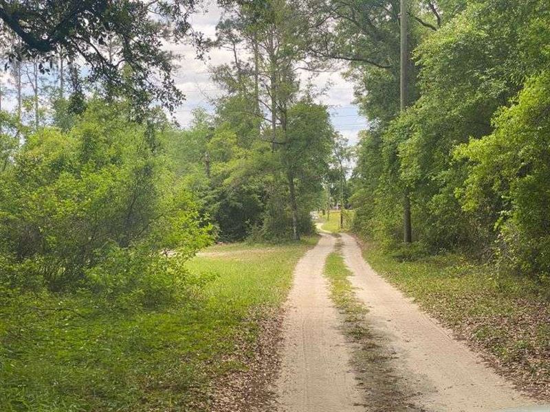 6 Acres with Home : Crawfordville : Wakulla County : Florida