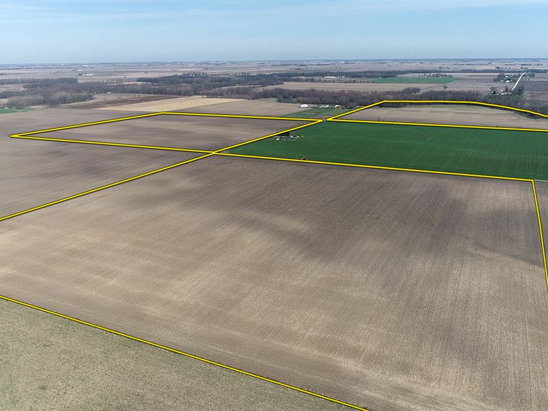 Real Estate Auction, 117+/- Acres : Kentland : Newton County : Indiana