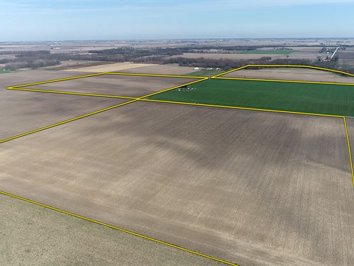 Real Estate Auction, 117+/- Acres : Kentland : Newton County : Indiana