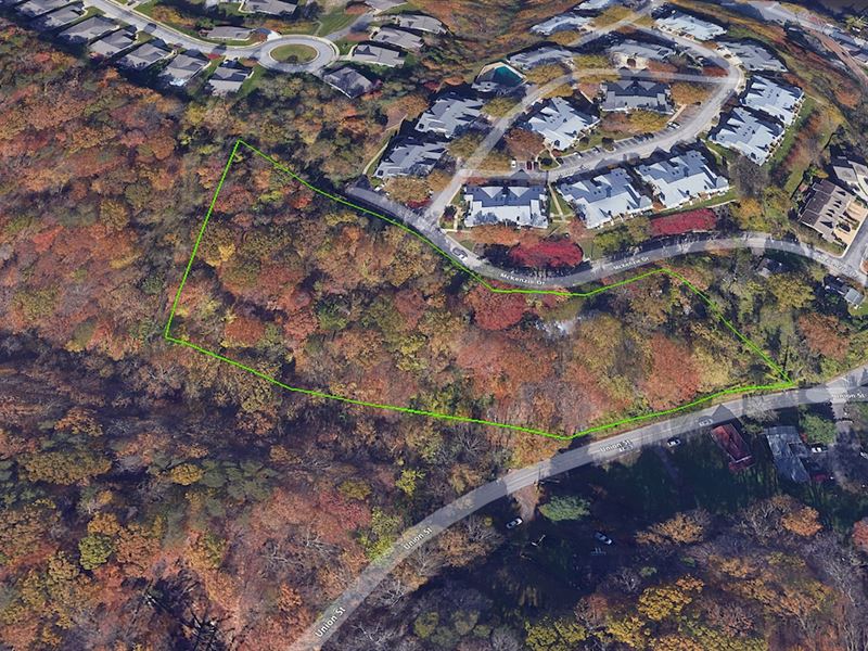 Occoquan Land Auction, June 3rd : Occoquan : Prince William County : Virginia