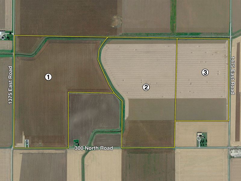 Douglas County Farmland Auction : Arcola : Douglas County : Illinois