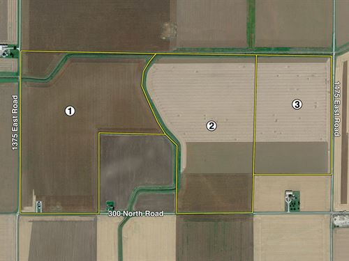 Douglas County Farmland Auction : Arcola : Douglas County : Illinois