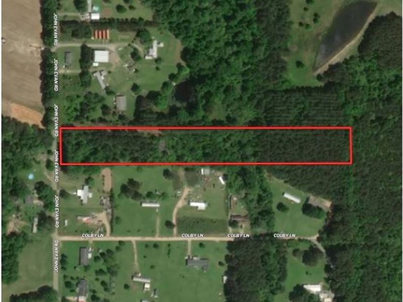 5+/- Acres of Undeveloped Land : Petal : Forrest County : Mississippi