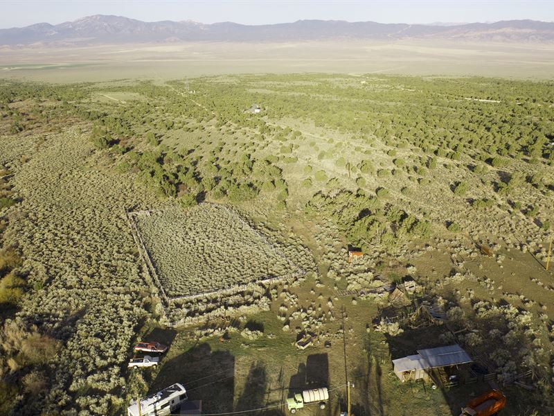 200 Ac in The Shadow of Mt. Wheeler : Baker : White Pine County : Nevada