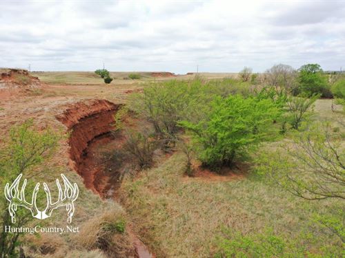 Online Auction, Woods County, OK : Alva : Woods County : Oklahoma