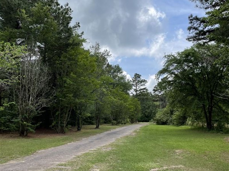 Beautiful 18.3 AC in Wood County : Hawkins : Wood County : Texas