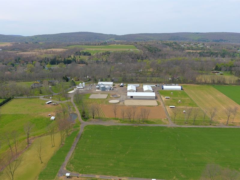 Vineyard and Equestrian Farm : Port Murray : Morris County : New Jersey