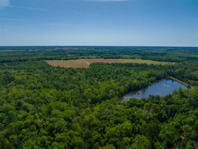 The Wills Estate, Webster County : Preston : Webster County : Georgia