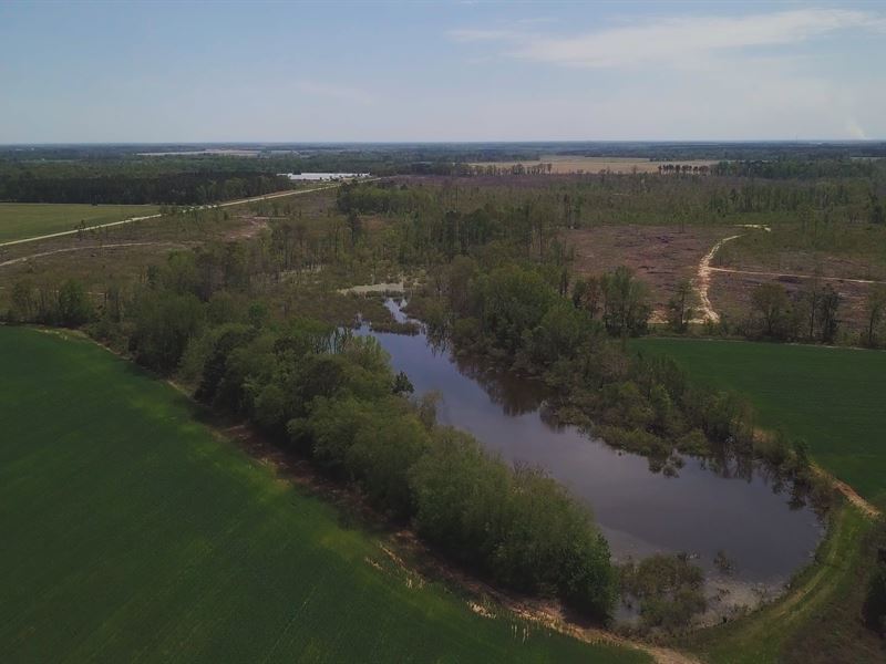 Irrigated Cropland & Cattle Farm : Elko : Houston County : Georgia