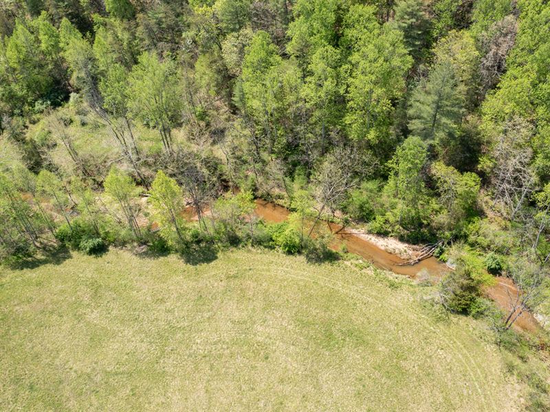 Auction, Hunting, Timber, Monroe : Monroe : Amherst County : Virginia
