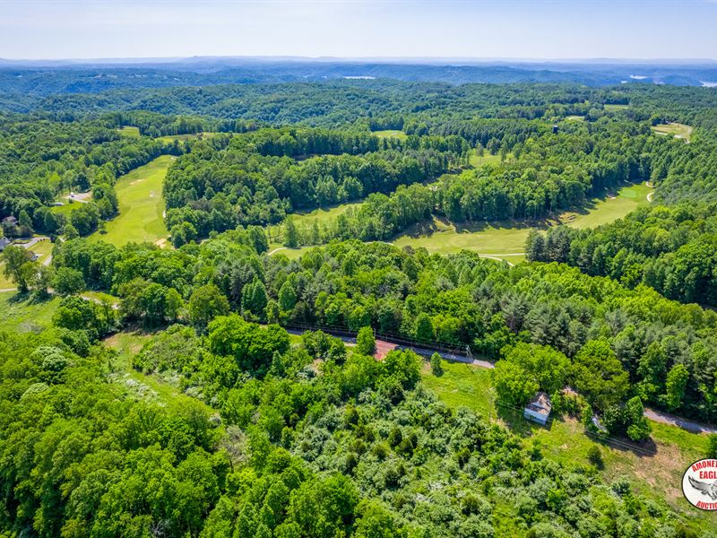 40+/- Ac, Neglected Home, Timber : Burkesville : Cumberland County : Kentucky