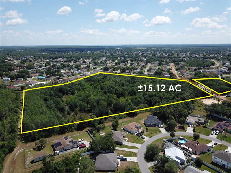 Absolute Auction, 15.12 AC : Poinciana : Osceola County : Florida