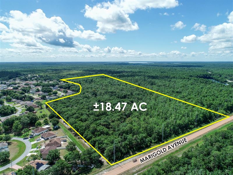 18.47 Ac, $1 Auction Sale : Poinciana : Polk County : Florida