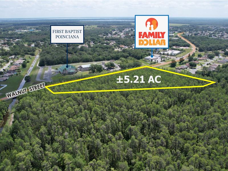 $1 Auction, 5.21 Acres : Poinciana : Polk County : Florida