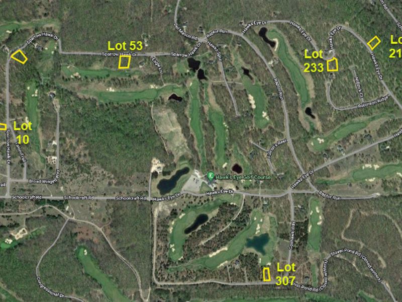 6 Lots in Hawk's Eye Golf Course : Bellaire : Antrim County : Michigan