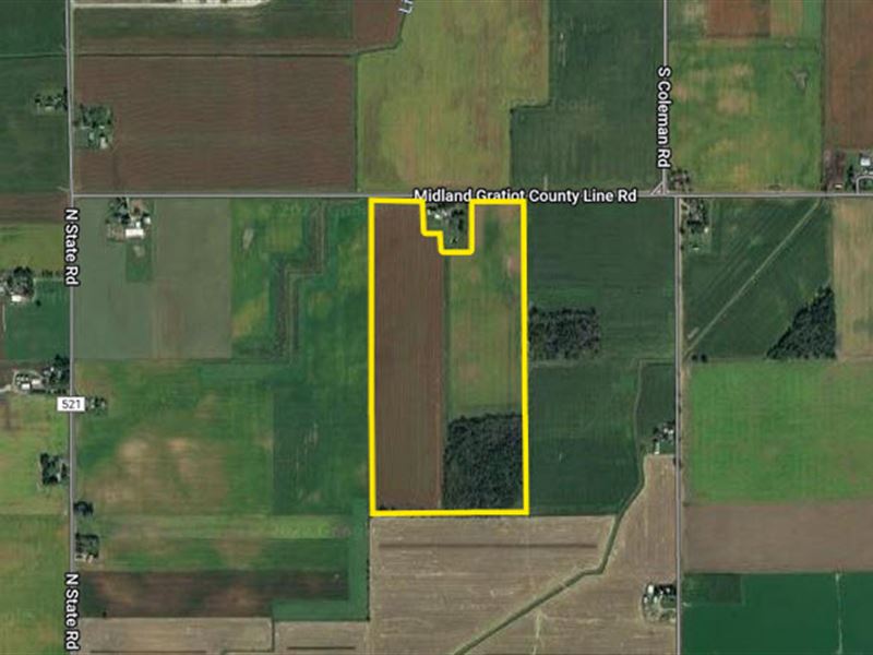79 Acres of Organic Land : Saint Louis : Gratiot County : Michigan