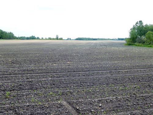 Land Auction, 102+/- Acres Offered : Macy : Miami County : Indiana