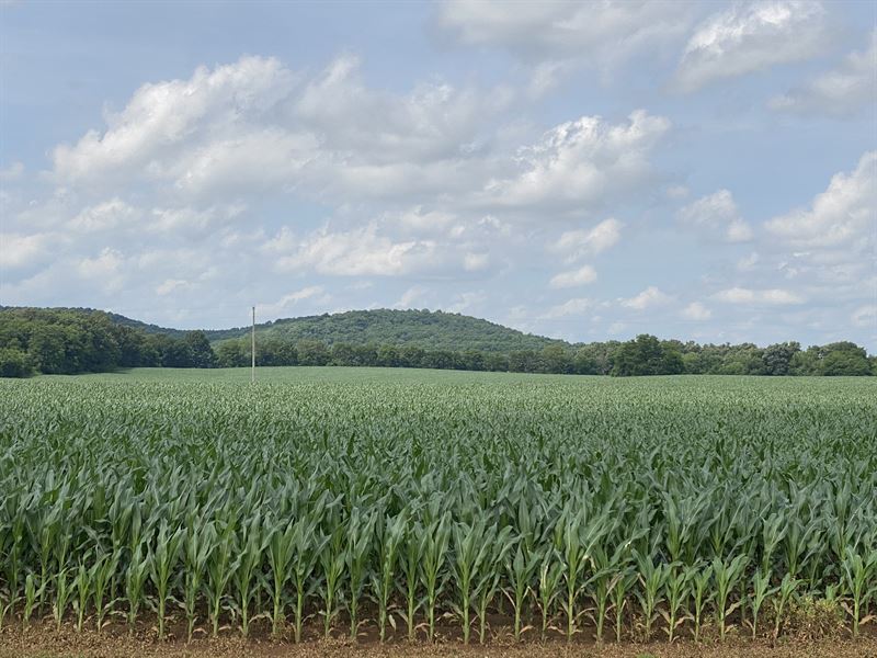 Prime Farm & Crop Land for Sale : Auburn : Simpson County : Kentucky