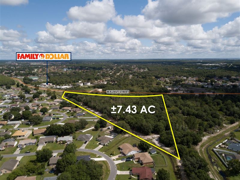 7.43 AC Orlando Msa Land : Poinciana : Polk County : Florida