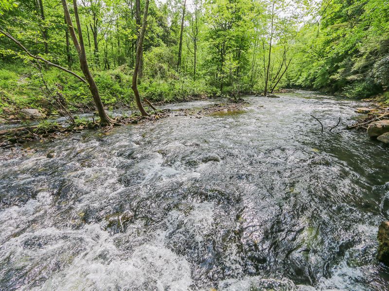16 Wooded Tracts : Spencer : Van Buren County : Tennessee