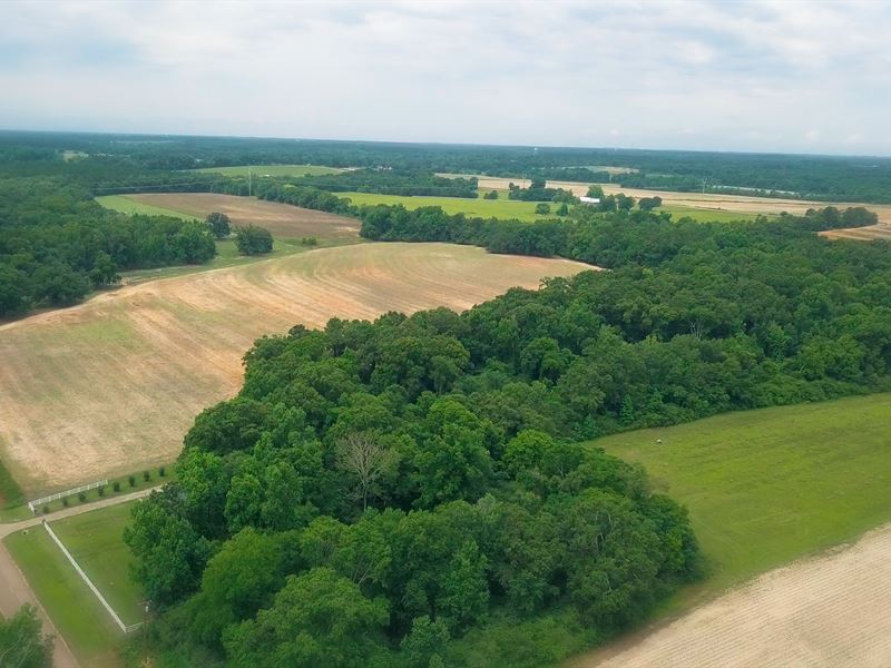 49 Acres of Woodland and Pasture : Ashford : Houston County : Alabama